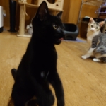 くぅちゃん (7).JPG